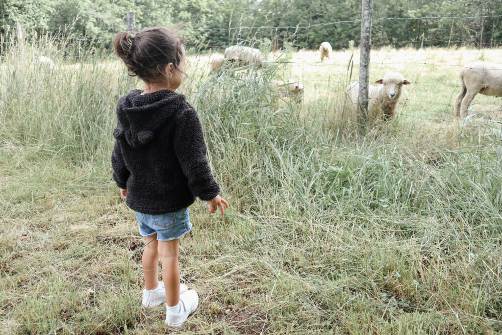 daughter with sheep at Ross farm in Nova Scotia